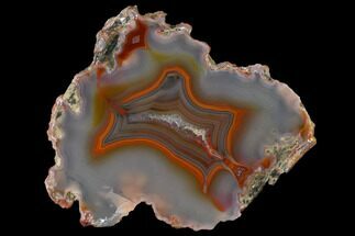 Colorful, 3.9" Polished Condor Agate Slab - Argentina  - Crystal #141382