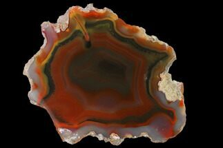 Colorful, 3.8" Polished Condor Agate Slab - Argentina  - Crystal #141384