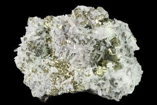 Quartz, Pyrite, Sphalerite and Chalcopyrite Association - Peru #141817