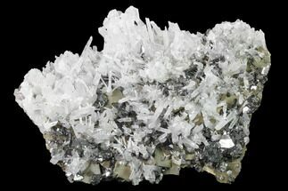 Gorgeous, Pyrite, Sphalerite & Quartz Crystal Association - Peru #141823