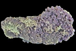 8.1" Sparkly Botryoidal Grape Agate - Indonesia - Crystal #141688
