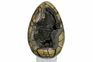 Huge, Septarian Dragon Egg Geode - Black Crystals #145256
