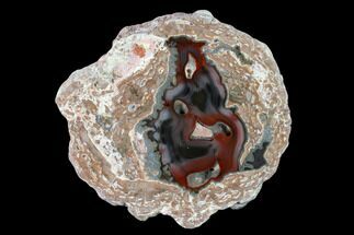 Polished Baker Ranch Thunderegg with Sagenite - New Mexico #145671