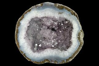 Las Choyas Coconut Geode Half with Amethyst & Agate - Mexico #145871