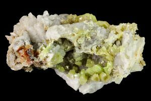 2.3 Yellow-Green Botryoidal Pyromorphite - Ojuela Mine, Mexico (#236823)  For Sale 