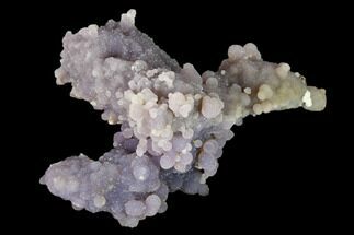 3.5" Purple, Sparkly Botryoidal Grape Agate - Indonesia - Crystal #146865
