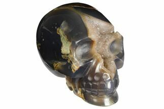 Polished Agate Skull with Druzy Quartz Crystal Pocket #148096
