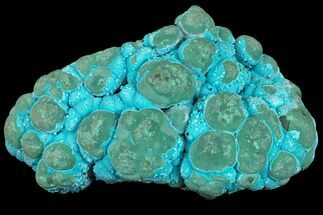 Botryoidal Malachite and Chrysocolla - Congo #148242