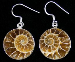 Circle Ammonite Earrings - Sterling Silver #10186