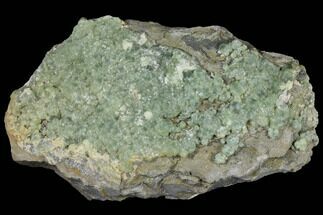 Green Prehnite Crystal Cluster on Rock - Morocco #127505