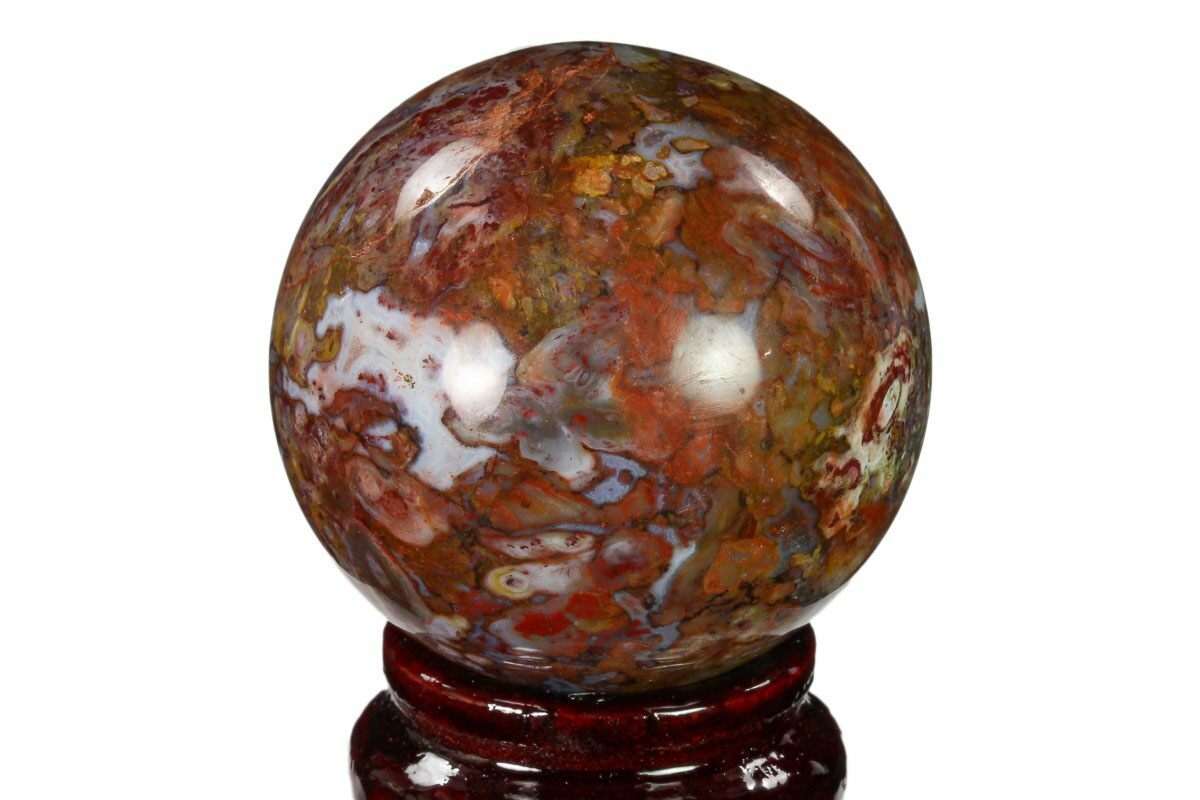 2-15-colorful-polished-petrified-palm-root-sphere-indonesia