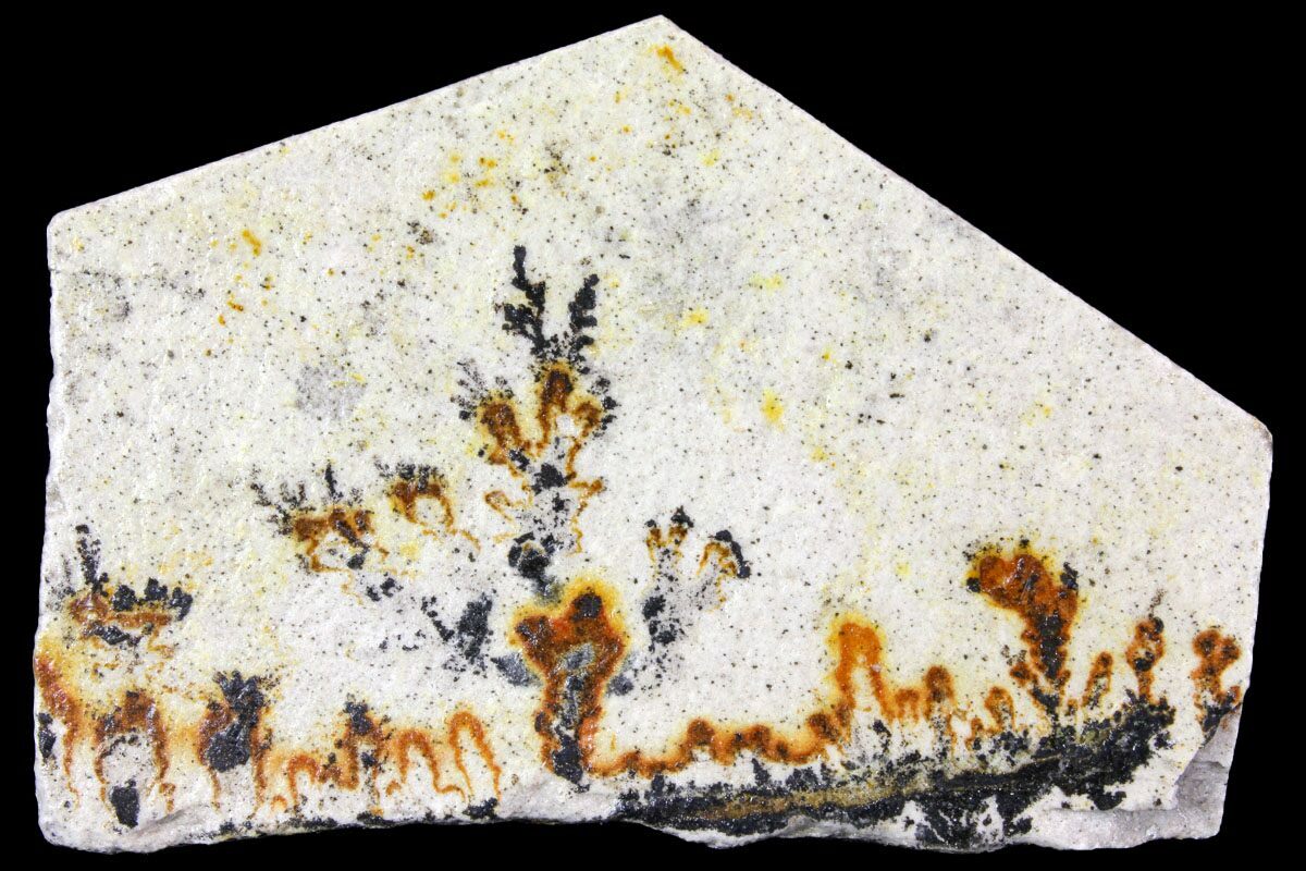 2.8" Dendrites On Limestone Utah (150462) For Sale