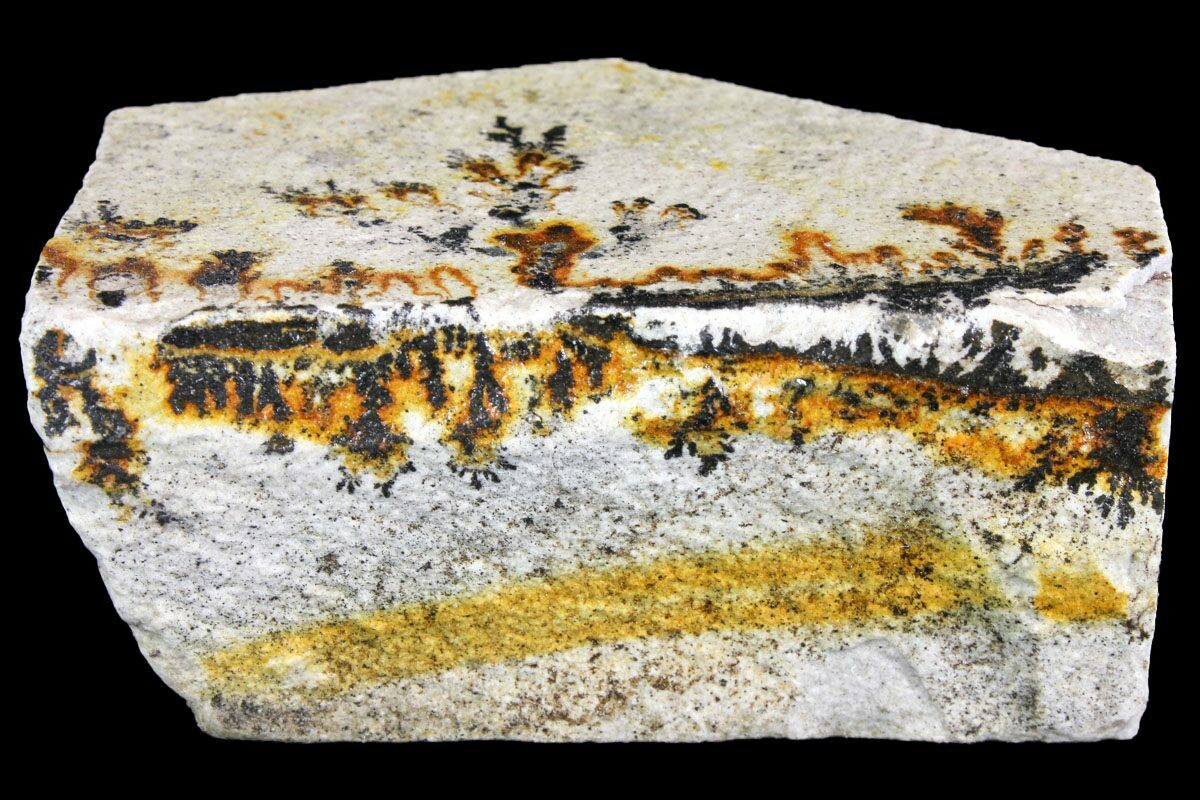 2.8" Dendrites On Limestone Utah (150462) For Sale