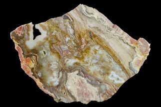 Polished Lysite Agate Slab - Wyoming #150602