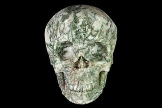 4.9" Realistic, Polished Tree Agate Skull  - Crystal #150875