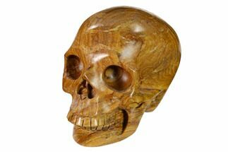 Realistic, Polished Picture Jasper Skull #151153