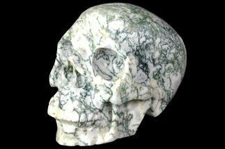Realistic, Polished Tree Agate Skull #151195