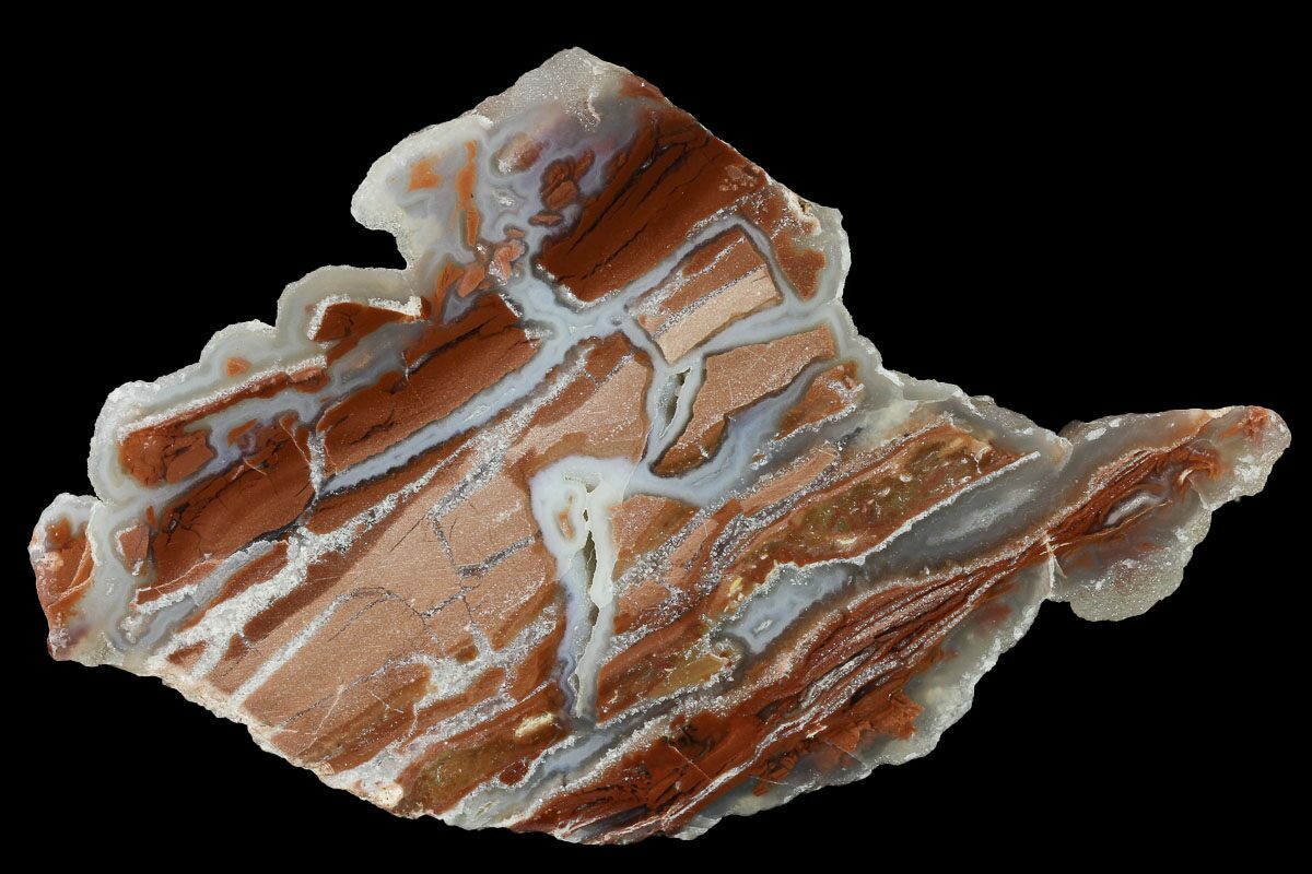 5.7" Polished Wyoming Youngite Agate/Jasper Slab Fluorescent For Sale
