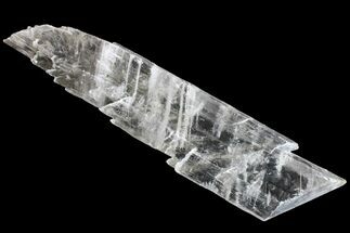Selenite Crystal - Kansas #153318