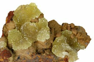 Yellow-Green Austinite Crystal Formation - Durango, Mexico #154718