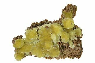 Yellow-Green Austinite Crystal Formation - Durango, Mexico #154724
