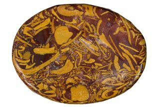 Coquina Jasper (Calligraphy Stone) Worry Stones - 1.5" Size - Crystal #155290
