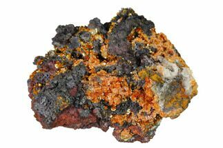 Red-Orange Descloizite Crystals on Matrix - Apex Mine, Mexico #155902