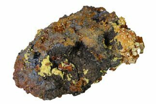 Descloizite and Vanadinite Association - Apex Mine, Mexico #155905