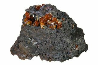 Red-Orange Descloizite Crystals on Matrix - Apex Mine, Mexico #155872