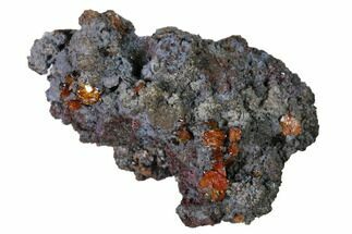 1.4" Red-Orange Descloizite Crystals on Matrix - Apex Mine, Mexico - Crystal #155878