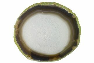 6.2" Polished Brazilian Agate Slice - Crystal #156005