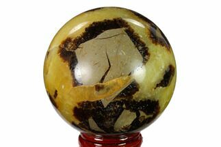 2.4" Polished Septarian Sphere - Madagascar - Crystal #154123