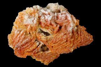 Sparkly Vanadinite Crystals on Pink Barite - Morocco #155404