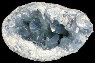 Sky Blue Celestine (Celestite) Geode - (Large Crystals) #156502