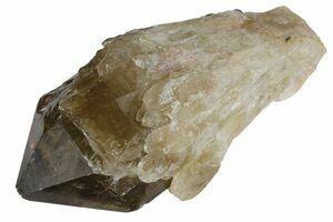1.7 Tibetan Smoky Quartz Crystal - Tibet (#128633) For Sale 