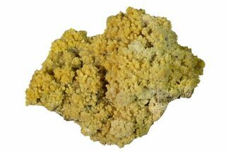 Mimetite Crystal Clusters on Limonitic Matrix - Mexico #157145