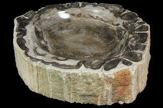Beautiful Polished Petrified Wood Dish - Madagascar #157431