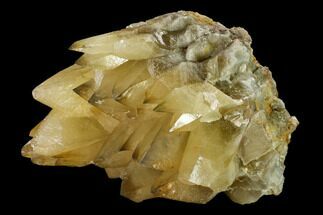 Dogtooth Calcite Crystal Cluster with Phantoms - Morocco #159523