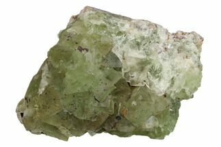 Green Cubic Fluorite Crystal Cluster - Morocco #164554