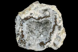 2.9" Las Choyas "Coconut" Geode Half with Quartz & Chalcedony - Mexico - Crystal #165532
