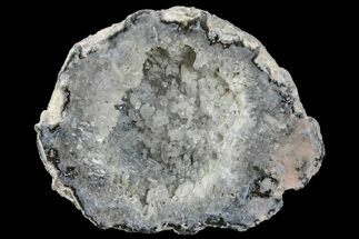 3.1" Las Choyas "Coconut" Geode Half with Quartz & Chalcedony - Mexico - Crystal #165562