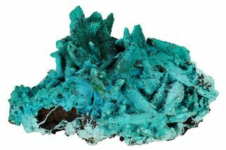 3.55" Chrysocolla and Malachite Pseudomorph - Lupoto Mine, Congo - Crystal #167683