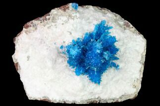 Vibrant Blue Cavansite Clusters on Stilbite & Mordenite - India #168245