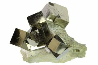 Natural Pyrite Cube Cluster in Rock - Navajun, Spain - Crystal #168550