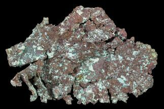 Natural, Native Copper with Cuprite - Carissa Pit, Nevada #168893