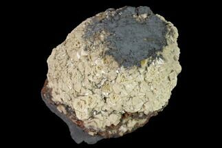 1.5" Poldervaartite Aggregation - N'Chwaning Mine, South Africa - Crystal #169782