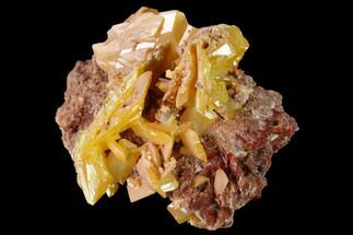 1.8" Orange Wulfenite Crystal Cluster - La Morita Mine, Mexico - Crystal #170312