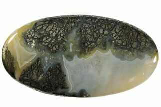 1.8" Nipomo Marcasite Agate Oval Cabochon - Crystal #171316