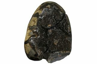 Free-Standing, Polished Septarian Geode - Black Crystals #172804