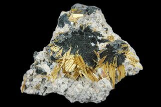 Golden Rutile Crystals on Hematite - Brazil #173011